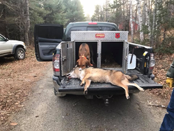 Hunting in Maine's deep forests!